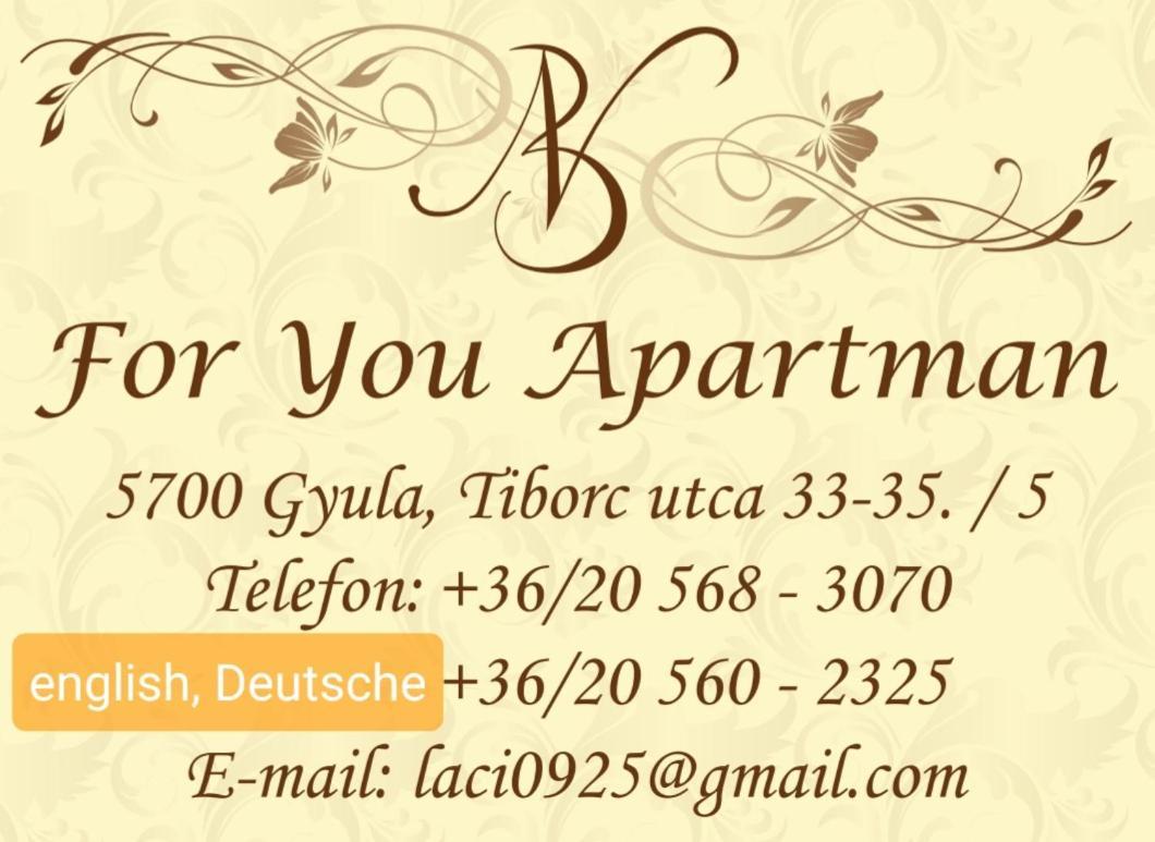 For You Apartman Gyula Εξωτερικό φωτογραφία