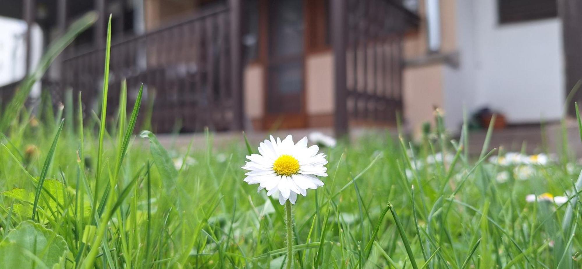 For You Apartman Gyula Εξωτερικό φωτογραφία